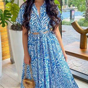 Worn once zebra print wild side dress. Cute but sexy dress